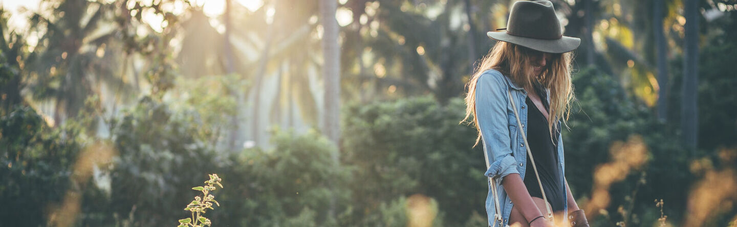 ส่วนบนสุดของเว็บไซต์